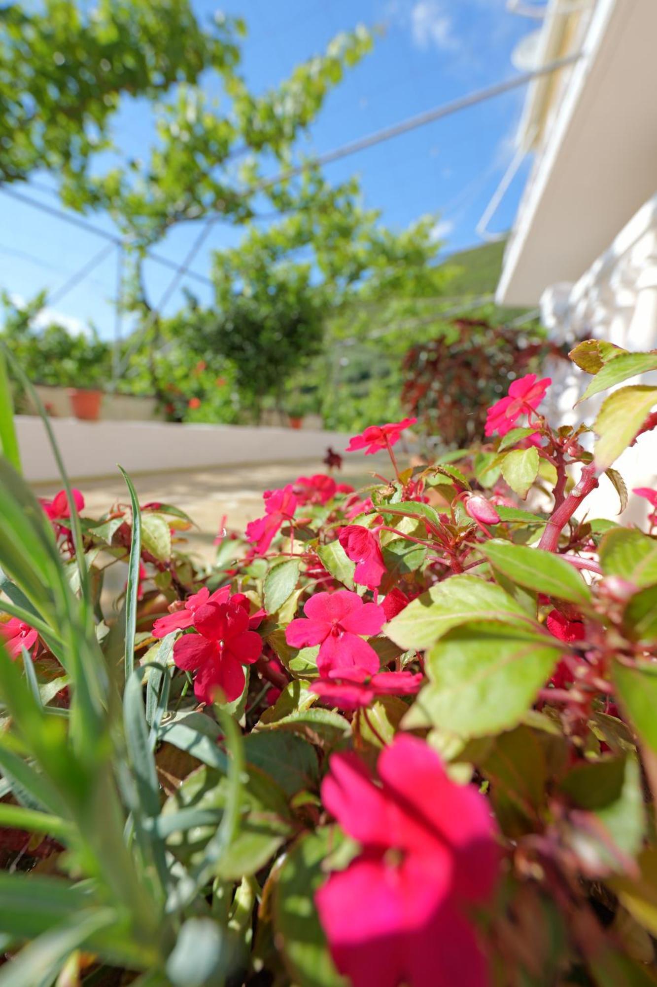 Homestay Arthur's 4apartments